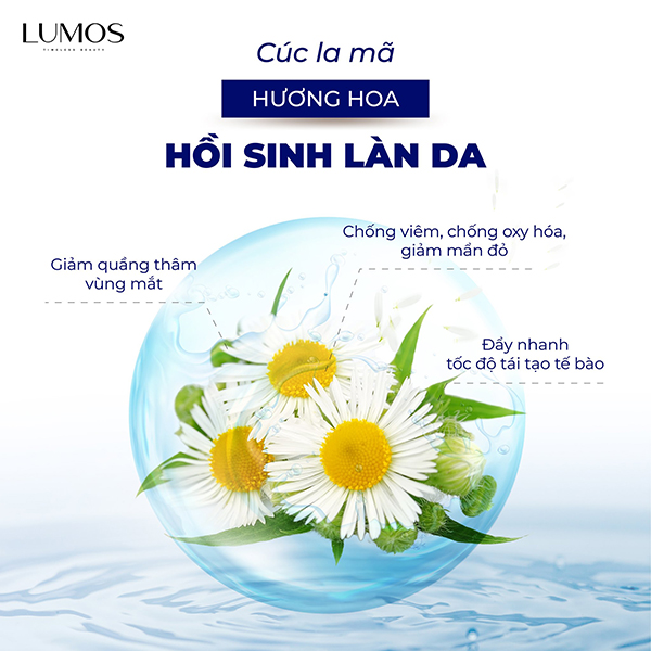 Thành phần sử dụng trong bộ mỹ phẩm Lumos chiết xuất 100% từ thiên nhiên