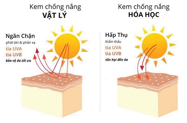 Tìm hiểu về kem chống nắng vật lý và kem chống nắng hóa học